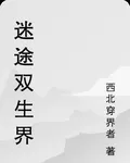 迷途雙生界 封面