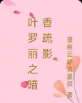 葉羅麗之暗香疏影 封面