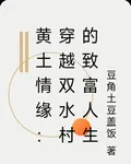黃土情緣：穿越雙水村的致富人生 封面