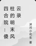 四合院：傻柱的明末風雲錄 封面