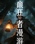 癲狂者的漫遊 封面
