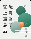 攀上霸總後我真香了 封面