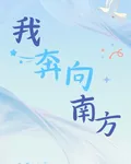 我奔向南方 封面
