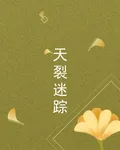 天裂迷蹤 封面