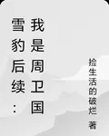 雪豹後續：我是周衛國 封面