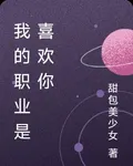 我的職業是喜歡你 封面
