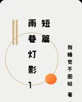 雨巷燈影1短篇 封面