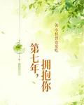 第七年，擁抱你 封面