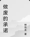 做廢的承諾 封面