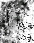 假面下的乖 封面