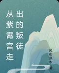 從紫霄宮走出的叛徒 封面