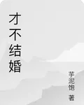 纔不結婚 封面