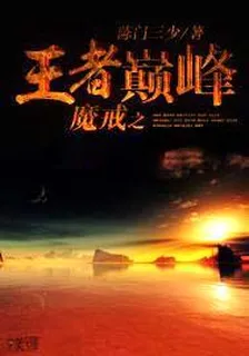 魔戒之王者巔峯 封面
