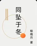 同墜於冬 封面
