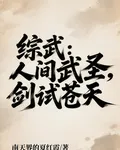 綜武：人間武聖，劍試蒼天 封面