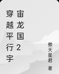 穿越平行宇宙華國 封面