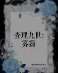 查理九世：霧霾 封面