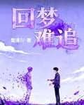 迴夢難追 封面