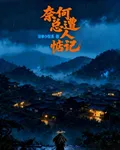 奈何總遭人惦記 封面