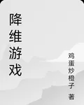 降維遊戲 封面