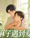 麻子遇到愛 封面