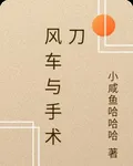 風車與手術刀 封面