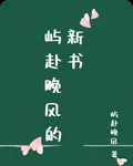 嶼赴晚風的新書 封面