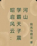 昭啓風雲：學霸天子震河山 封面