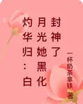 灼華歸：白月光她黑化封神了 封面