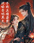 攻略白切黑太子的正確姿勢 封面