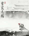 紫宸無糯 封面