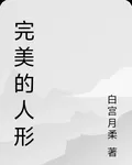 完美的人形 封面