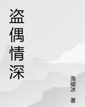 盜偶情深 封面
