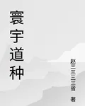 寰宇道種 封面