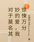對於莫名其妙的愛，我驚悚萬分 封面