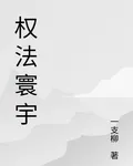 權法寰宇 封面