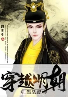 穿越明朝當皇帝 封面