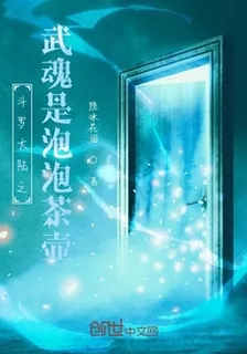 斗羅大陸之武魂是泡泡茶壺 封面