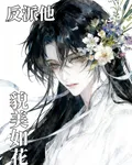 快穿之反派他貌美如花 封面