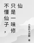 不懂仙子，只是一味修仙 封面