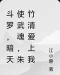 鬥羅，暗天使武魂，朱竹清愛上我 封面