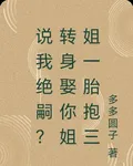 說我絕嗣？轉身娶你姐姐一胎抱三 封面