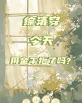 綜清穿：今天用金手指了嗎 封面