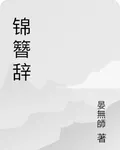 錦簪辭 封面