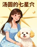 湯圓的七星穴 封面