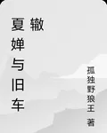夏嬋與舊車轍 封面