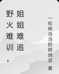 野火難訓，姐姐難追 封面