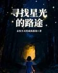 尋找星光的路途 封面