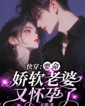 快穿：要命，嬌軟老婆又懷孕了 封面