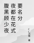 腹黑顧少夜夜都在花式要名分 封面